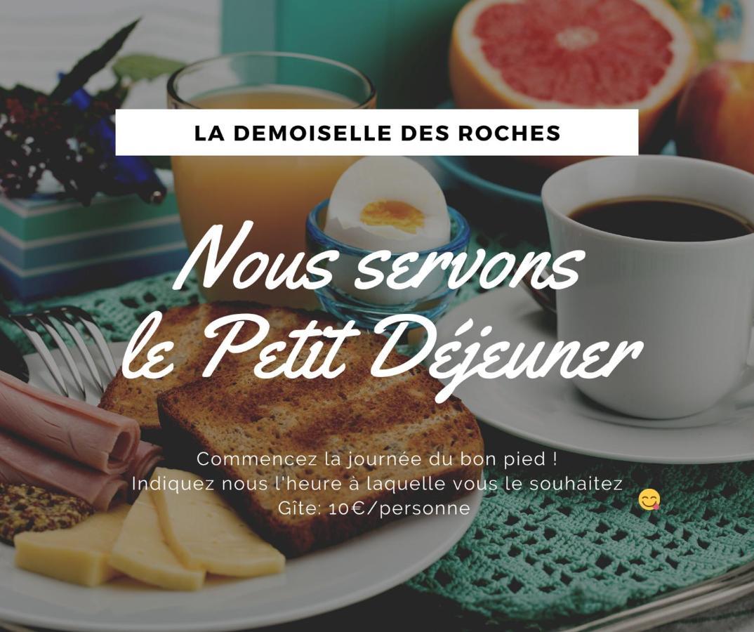 Apartamento Demoiselle Des Roches Ramonchamp Exterior foto